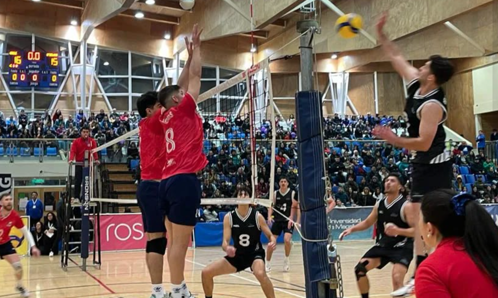 Volley Blacks push Chile in tour opener